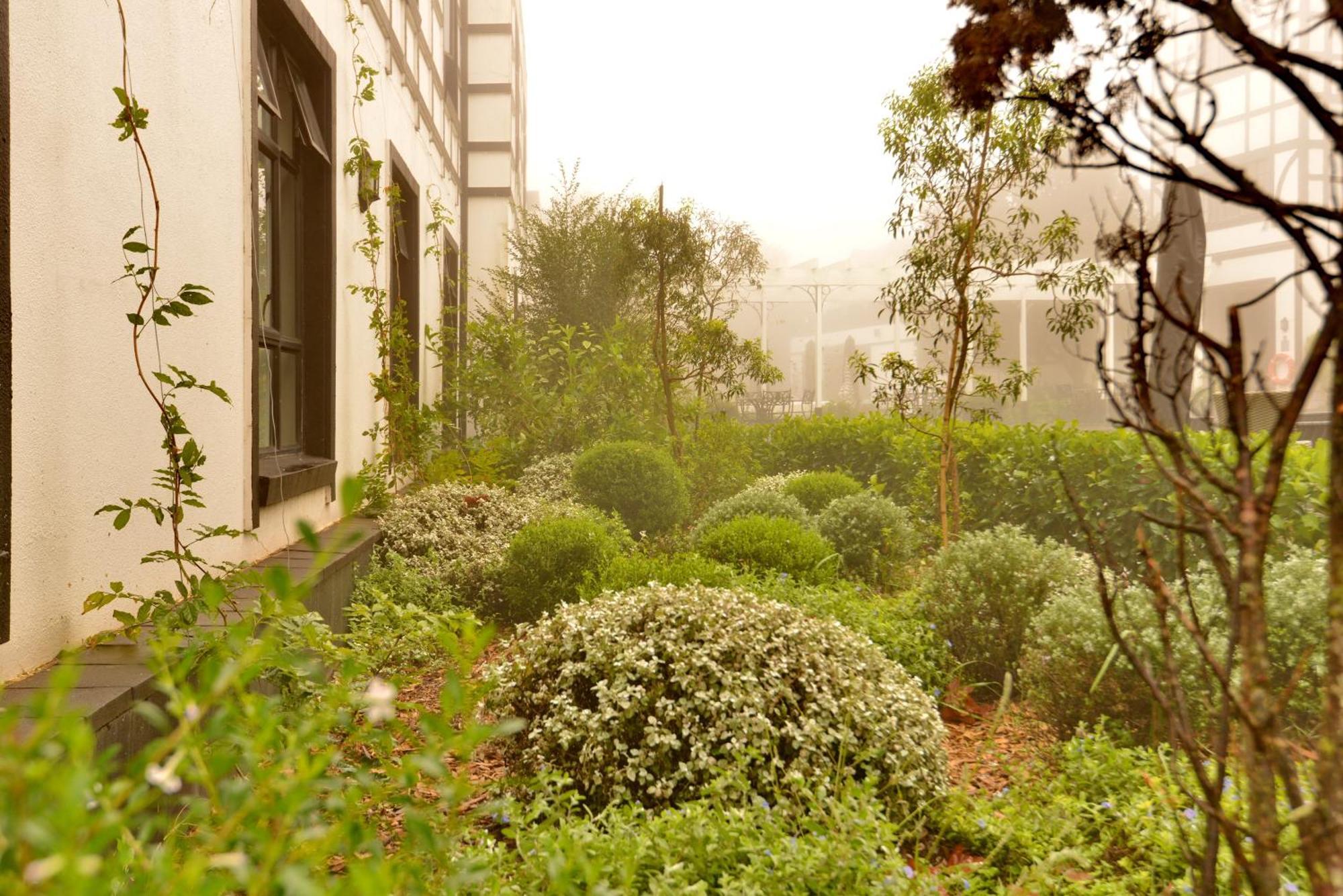 Anew Hotel Hilton Pietermaritzburg Kültér fotó